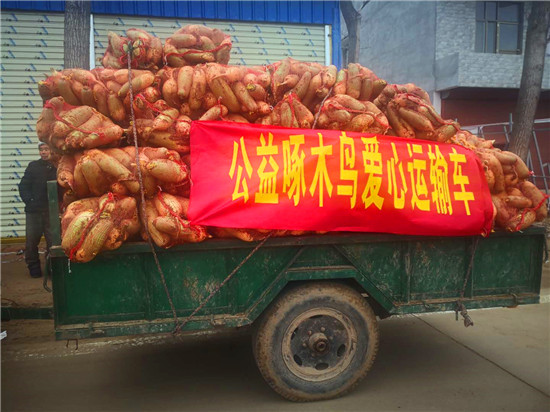 ＂愛心蘿卜＂來了！
