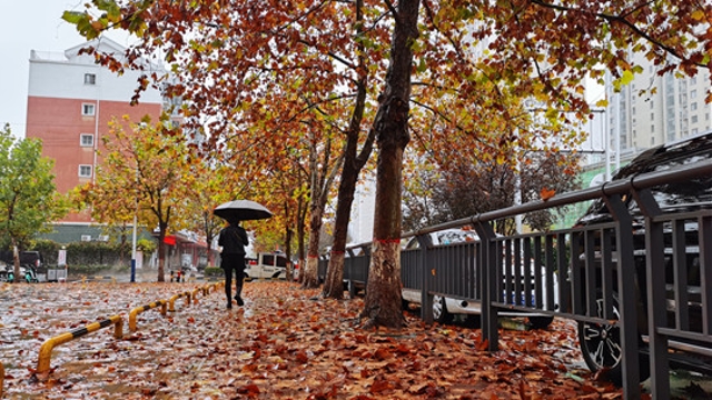 雨中周口，別有一番韻味