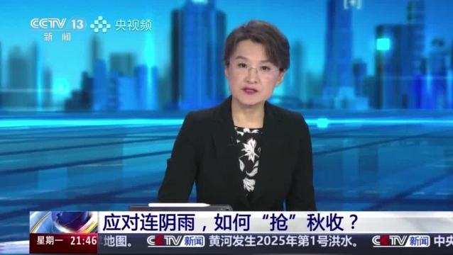 【主流媒體看周口】面對(duì)連陰雨 如何“搶”秋收？