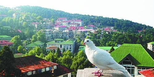  有著“云中山城”之稱的牯嶺鎮(zhèn)面臨著遷民下山。
